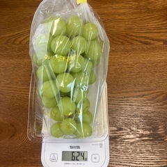 とれたて！　シャインマスカット