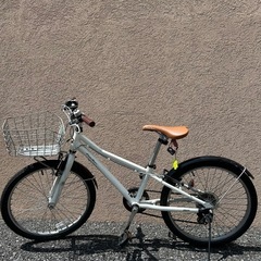 コーダーブルーム　asson j22