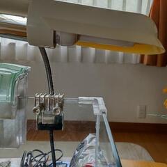 テトラ(TETRA)水槽とその他セットにての画像