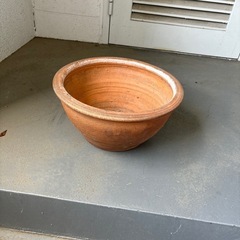 睡蓮鉢