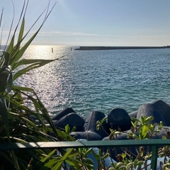 カメラ好きな人募集　📷