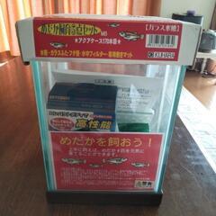 メダカ水槽(未使用品)