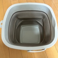 スリーコインズ　バケツの画像