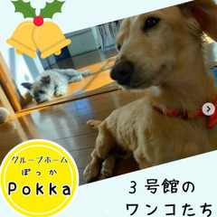 夜間の見守り、見回り（22時〜翌5時）の画像