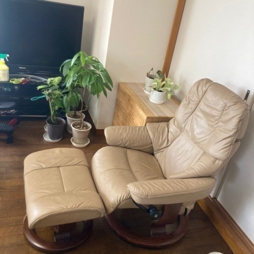 エコーネス　
家具 ソファ 1人掛けソファ