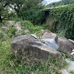 園庭用 岩