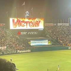 江坂や緑地公園で野球友達をつくりませんか？💫⚾️