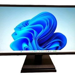 【動作保証】IO DATA Giga Crysta LCD-GC...