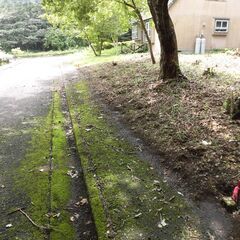 那須塩原市青木「四季の街」116坪・道の駅近く − 栃木県