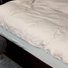 ダブルベット（高級・良品）