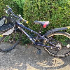 【引き取り限定、キズ・汚れあり】子供用自転車 ブリヂストン BR...