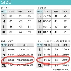 レディース⭐︎スポーツウェア⭐︎の画像