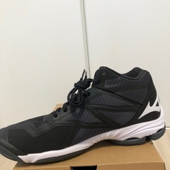 ミズノ　バレーシューズ　27.5㎝　超美品の画像