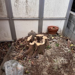 狭山市、所沢市周辺での造園会社の作業員の募集になります。の画像
