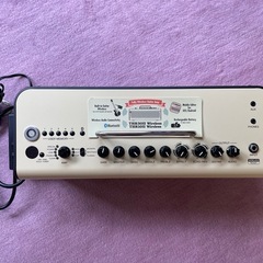 アコースティックギター専用アンプ THR30Ⅱ Wireless 
の画像