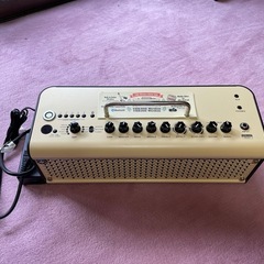 アコースティックギター専用アンプ THR30Ⅱ Wireless 
の画像
