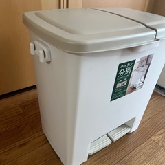 【9/2まで】分別ダストボックスペダルツインの画像