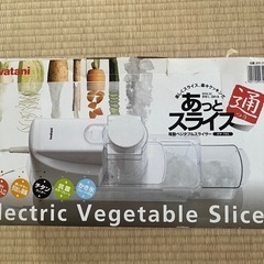 イワタニ　電動スライサー