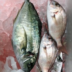 釣りメン募集(未経験OK興味ある人、男女問いません♫)