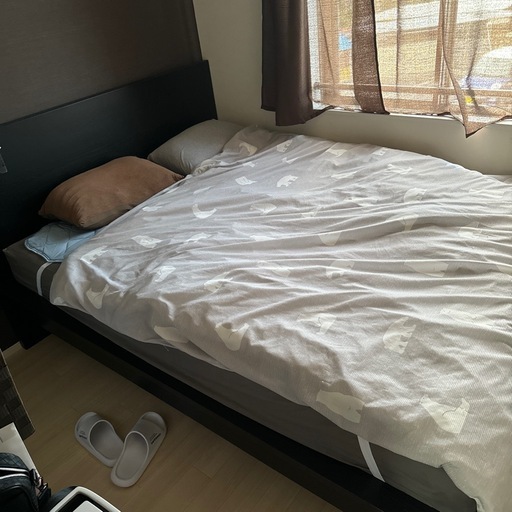 ベット