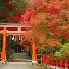 神社巡りで癒しの時間を一緒に過ごしましょう⛩️ - 札幌市