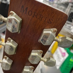 ◇ドリーム尼崎1号館◇【ジモティー割引対象商品】Morris W-20 アコースティックギターの画像