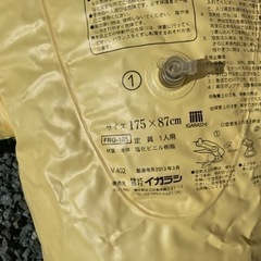 大きいワニのフロートの画像
