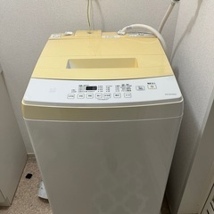アイリスオーヤマ 洗濯機 IAW-T802E 2019年購入