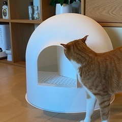 ※9/8まで※【超美品】pidan 高級猫トイレ