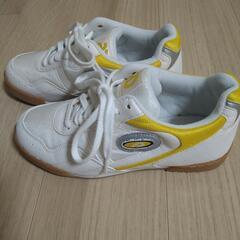 【お話中】asics(アシックス)シューズ　24.5cm(中古)の画像