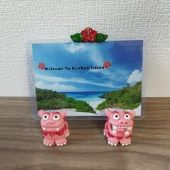 新品 沖縄シーサー 写真立て ピンクの画像