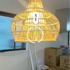 電気＋電球　(ほぼ新品)の画像
