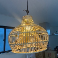 電気＋電球　(ほぼ新品)の画像