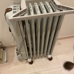 DeLonghi デロンギ　オイルヒーターの画像