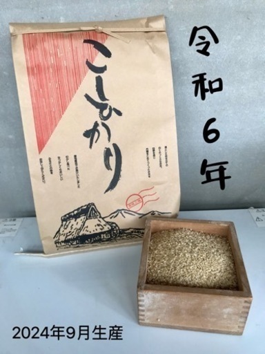 【予約】令和6年　新米　30kg 新潟県産 コシヒカリ 米 新米【令和6年産 新米】新潟県産コシヒカリ 玄米 30kg 令和6