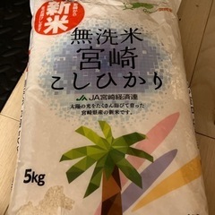 無洗米　こしひかり