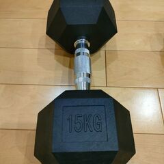 2x10キロ、1x15キロダンベル。トレーニングベンチ