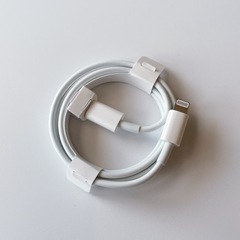 新品 Apple純正 充電ケーブル タイプC