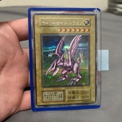 ホーリーナイトドラゴン初期シク