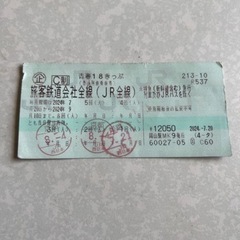 青春18きっぷ　２回分　2024/9/10まで使用可チケット 新...