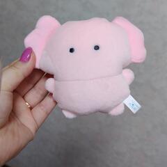 【新品】つぶらな瞳の水族館♡ウーパールーパー