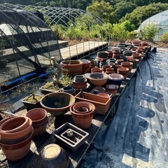 植木鉢
の画像