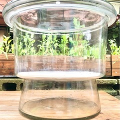 ガラス器具 デシケーター (大)　ガーデニング ガラスボトル 直径41cm サイエンスインテリア　☆配送応相談☆の画像