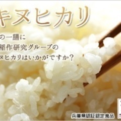 お取引き完了しました 新米 10kg 特別栽培米 キヌヒカリ 兵...