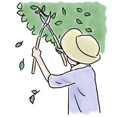 ＼お財布の味方✨日払い＆週払い💴／更に入社祝い金もあり😯❗造園職...