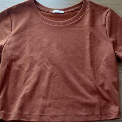 未着用TシャツМ