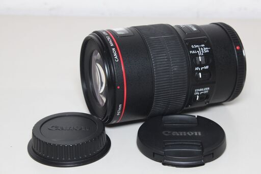 Canon/EF100mm F2.8Lマクロ IS USM/望遠マクロレンズ ④