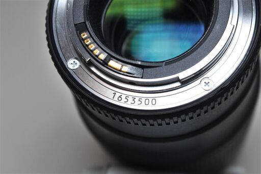 Canon/EF100mm F2.8Lマクロ IS USM/望遠マクロレンズ ④