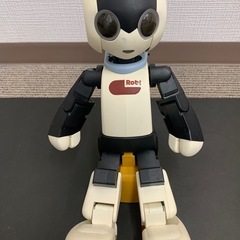 Robi （ジャンク）の画像