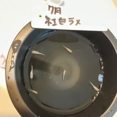 紅白ラメメダカの稚魚（1センチ前後）.若魚！ 10匹500円🉐➕いるだけサービスします‼️の画像